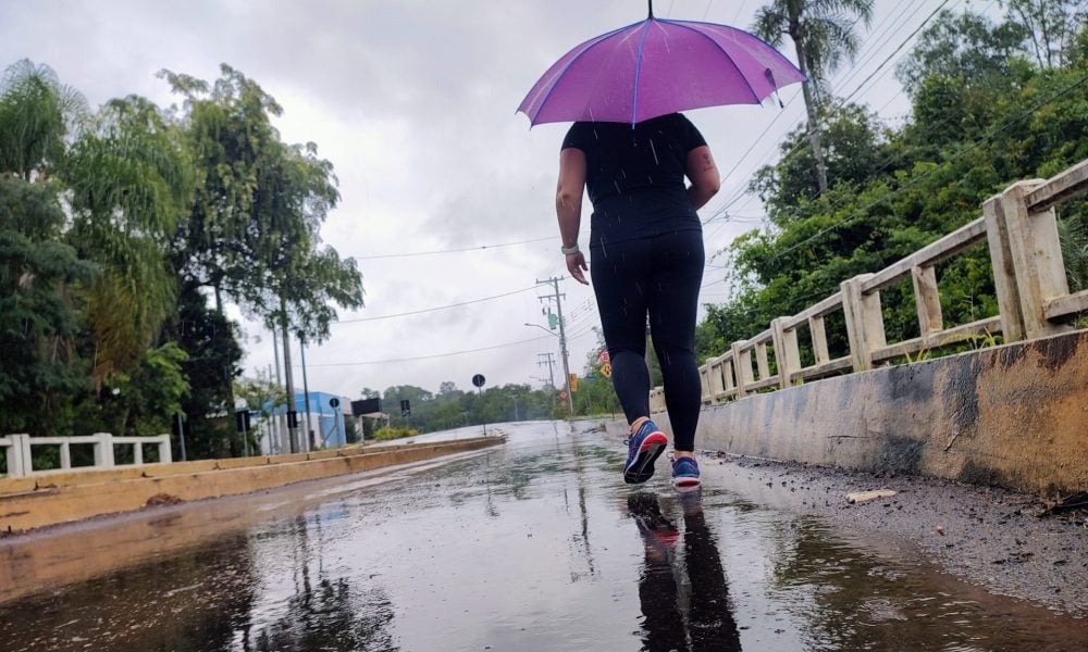 Ap S V Rias Semanas Sofrendo Chuva Traz Al Vio Para A Regi O Jornal