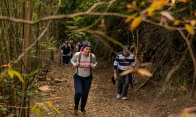 Caminhada percorrerá estradas do interior de Nova Petrópolis (CRÉD. FRANCIS LIMBERGER / DIVULGAÇÃO)