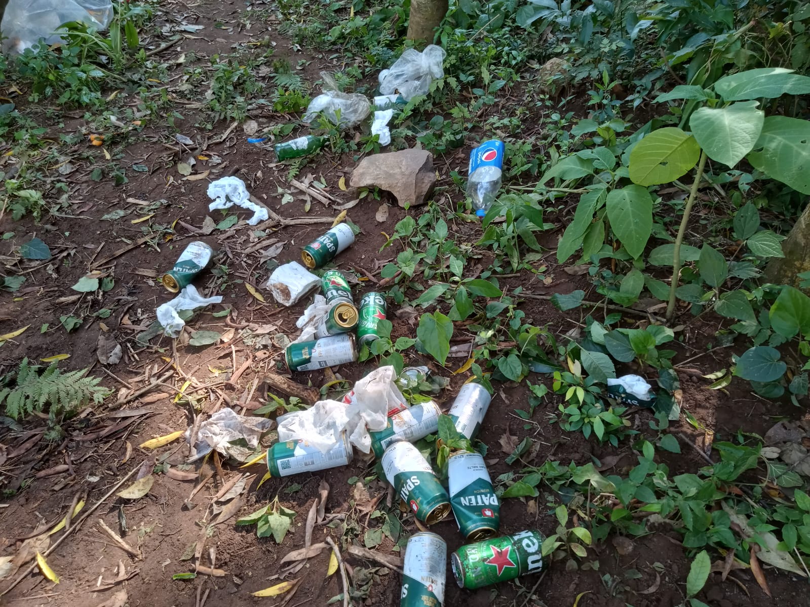 Lixo deixado pelos veranistas (CRÉD. ENVIADO POR LEITOR / O DIÁRIO)