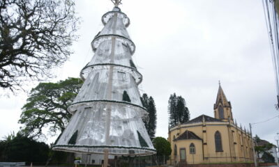 Árvore Símbolo do Natal Gaúcho já está pronta, mas o show de luzes só vai dar para conferir no dia 17 (imagem Volmir Müller)