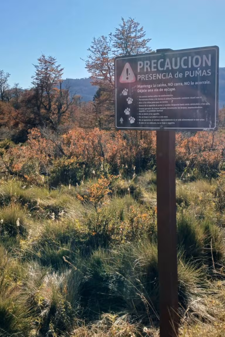 Parque Nacional Lanín