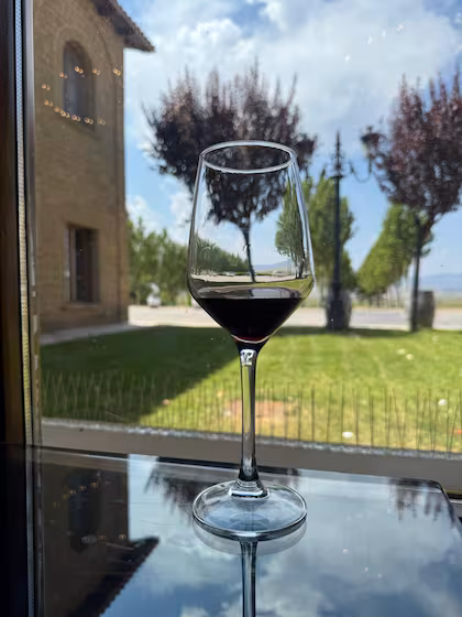Una de las bodegas a las afueras de Zaragoza, donde la uva garnacha es protagonista