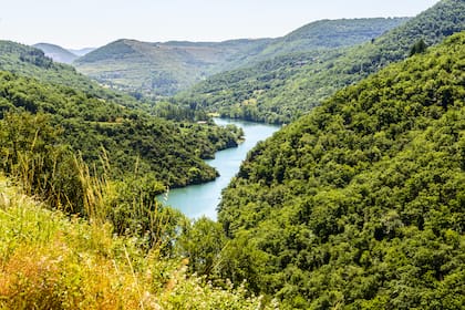 El valle del río Tarn entre Millau y Albi