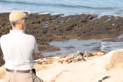 También se accede a ver una colonia de lobos marinos durante todo el año